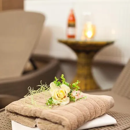 Penzion Rozhovice Guest house *