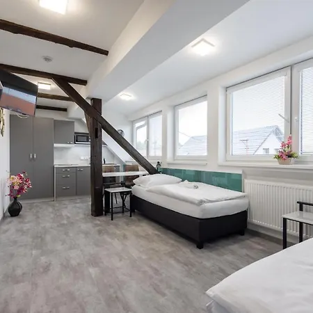 Penzion Rozhovice Pensionat *