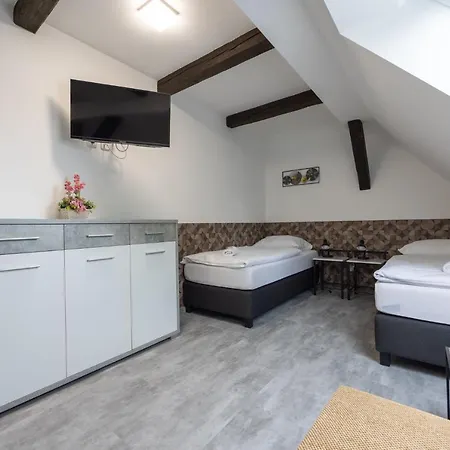 Pensionat Penzion Rozhovice