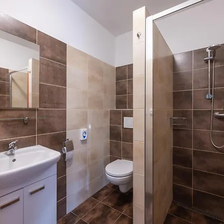 Guest house Penzion Rozhovice *